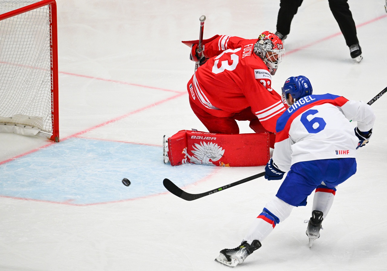 Cingeľ-jd2026012819